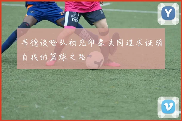 韦德谈哈队初见印象共同追求证明自我的篮球之路